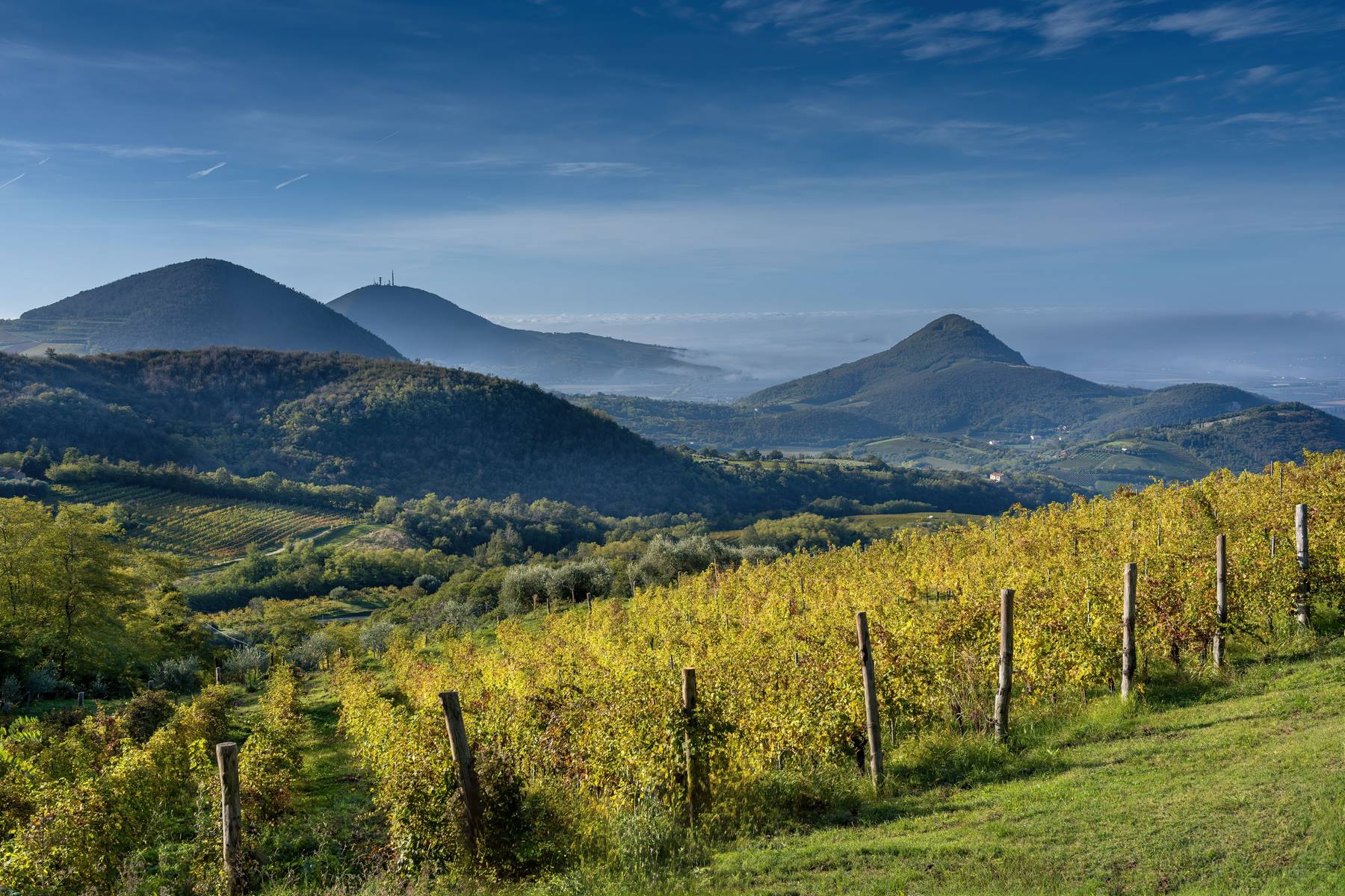 I Colli Euganei