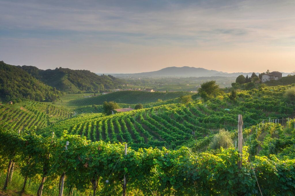 The Prosecco Hills at Valdobbiadene