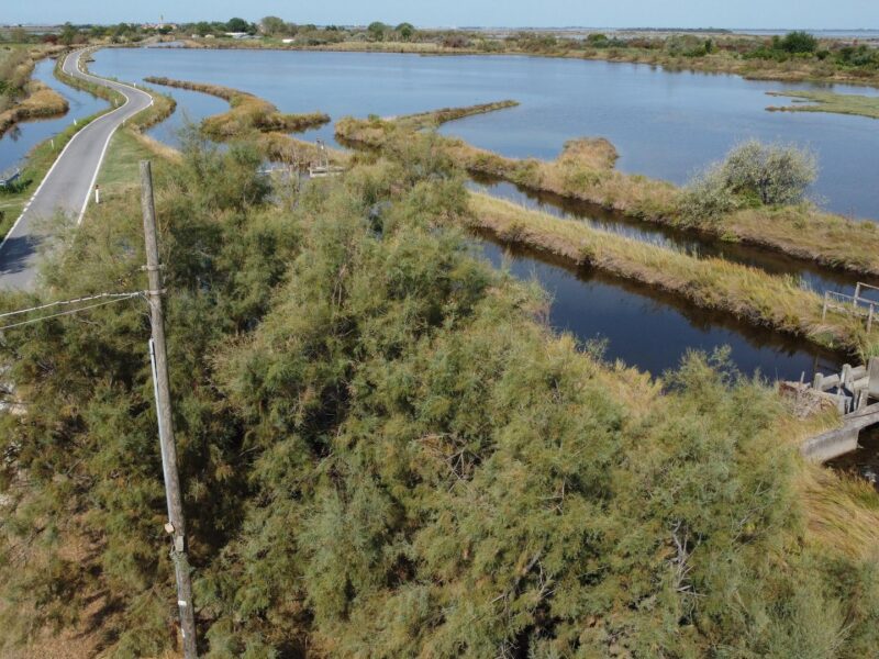 Veduta aerea delle barene e della strada per Lio Piccolo nella laguna di Venezia