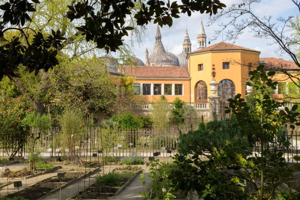 Padua’s Botanical Garden with the domes of the Basilica of St Anthony behind