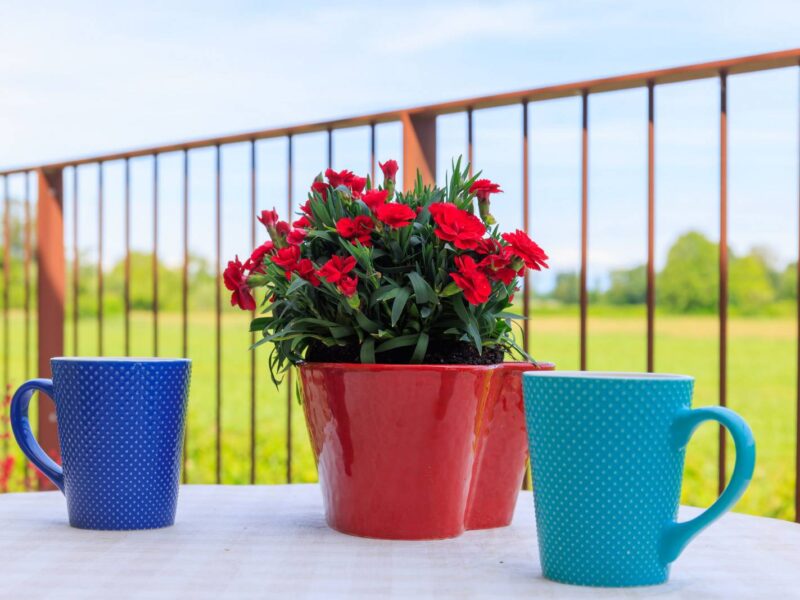 Colazione all'aperto con vista sui campi