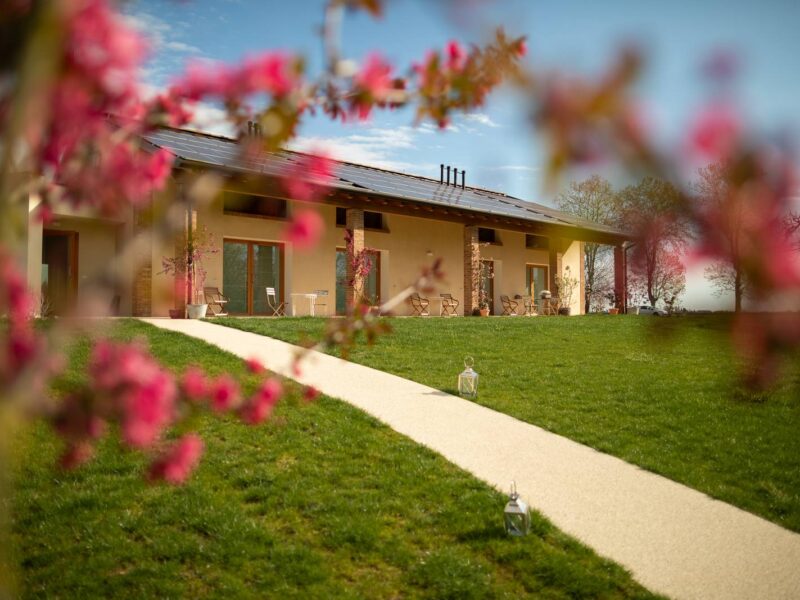 Peach blossom with the farmhouse in the background